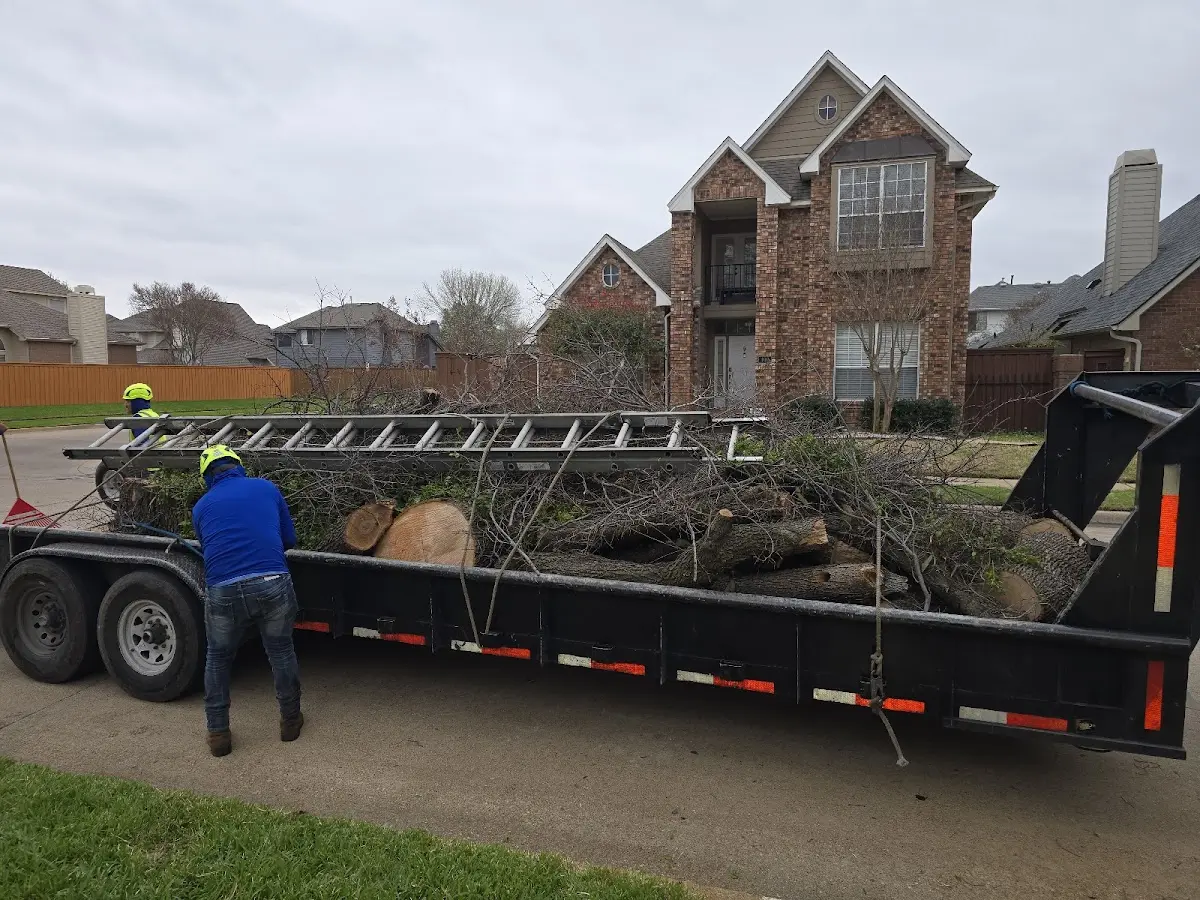 Expert Crown Reduction with proper safety equipment in Unionville